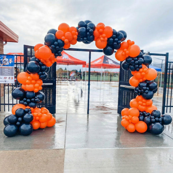 Balloon Arch Entrance Package 6